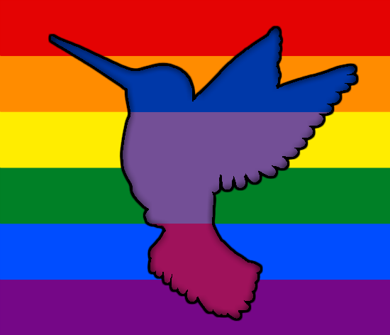 Colibri auf Regenbogen-Fahnen-Hintergrund